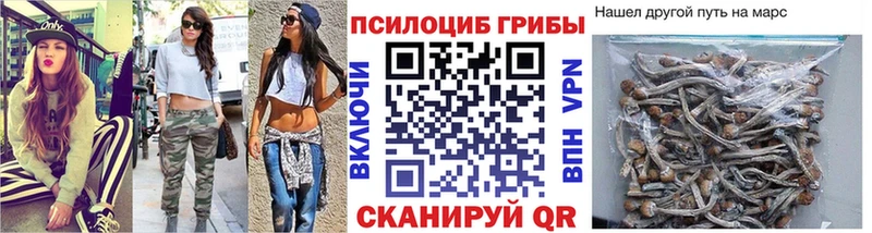 Галлюциногенные грибы мухоморы  Скопин 